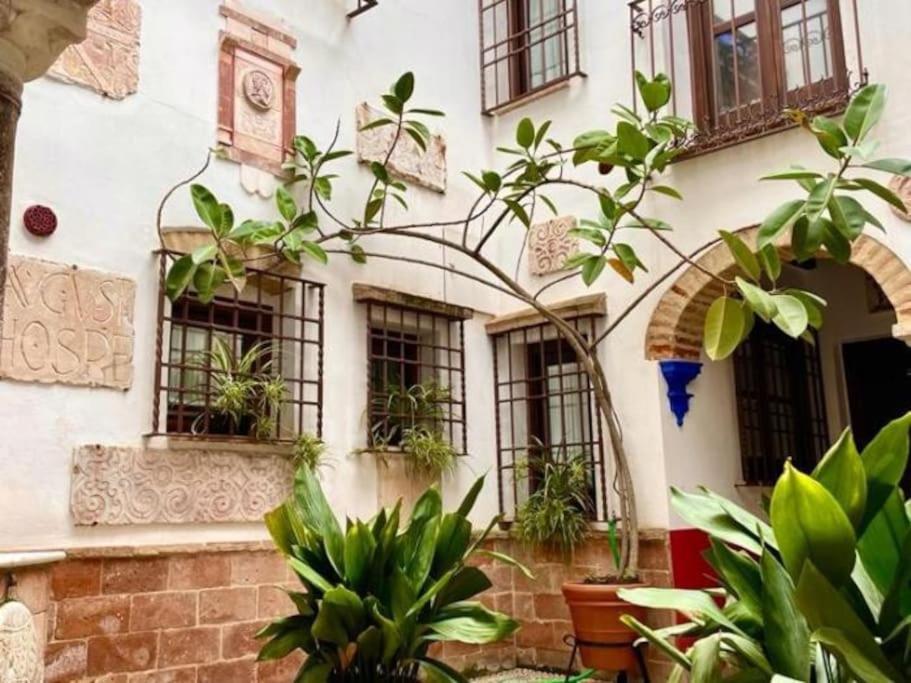 Buhardilla De Wallada Córdoba Exterior foto