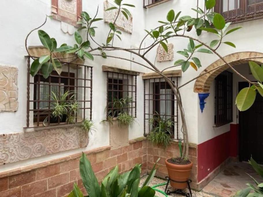 Buhardilla De Wallada Córdoba Exterior foto